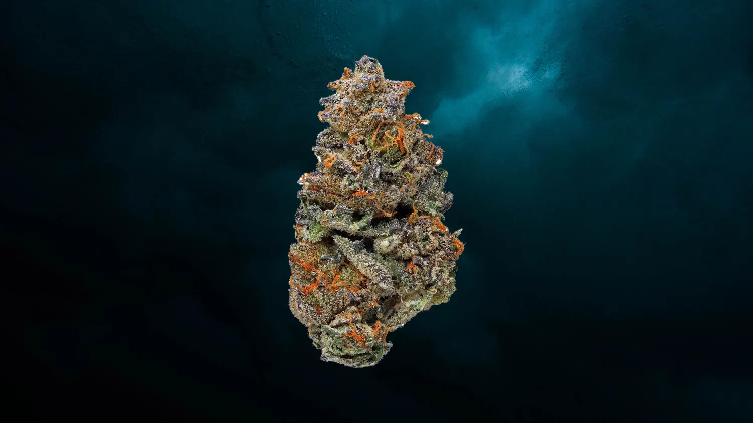 1 - GSC