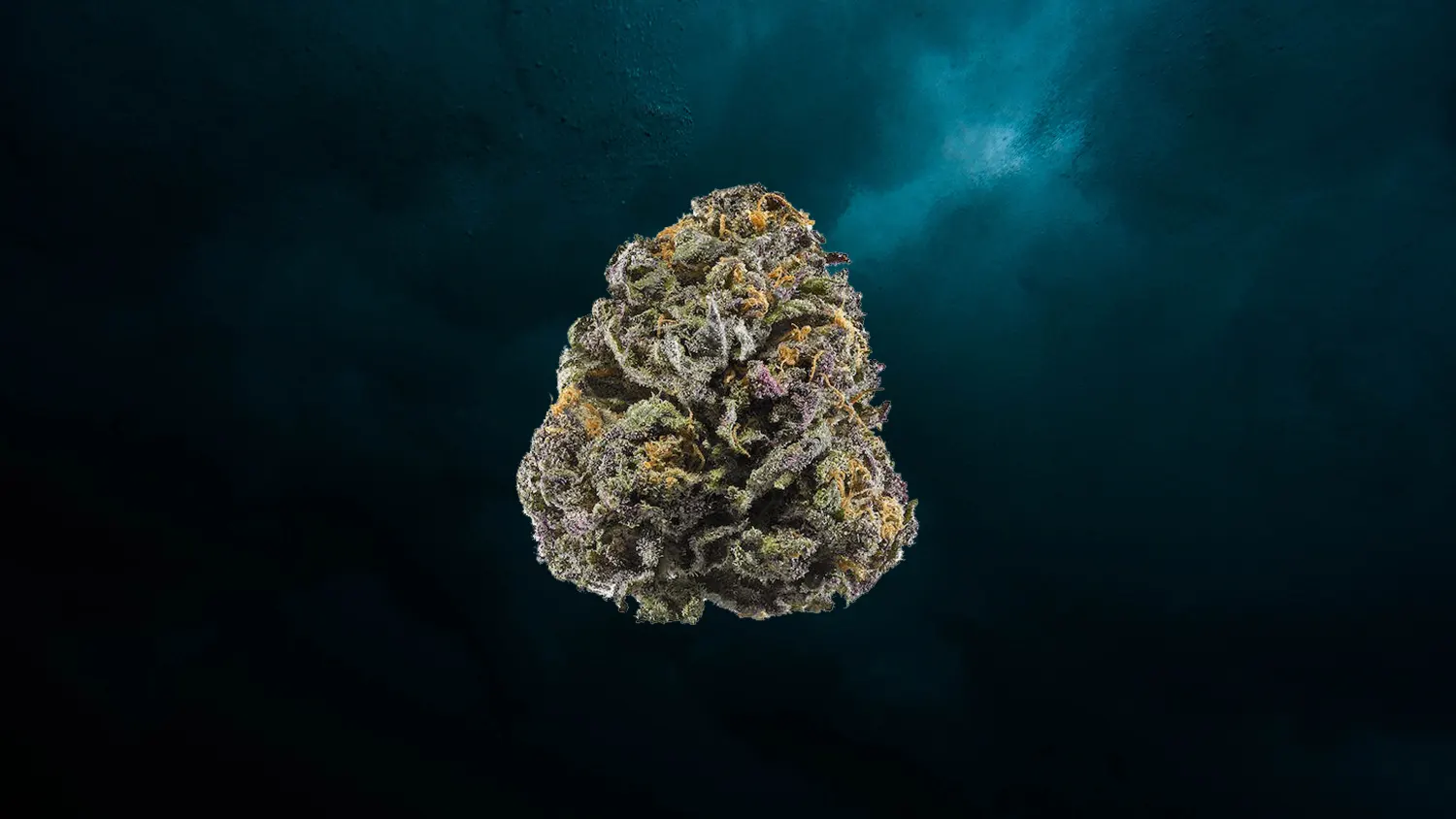 3 - Granddaddy Purple