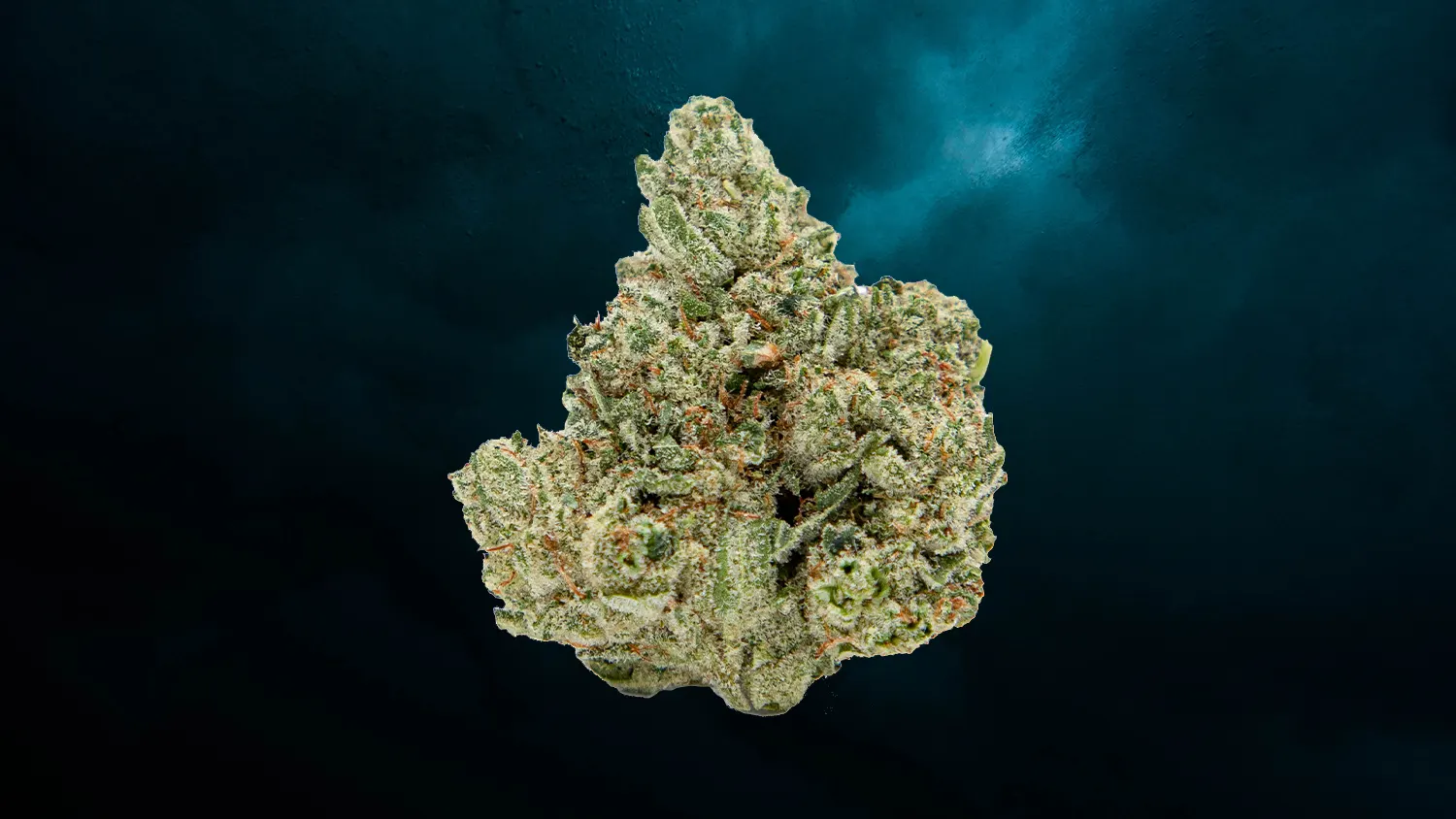 5 - GG4