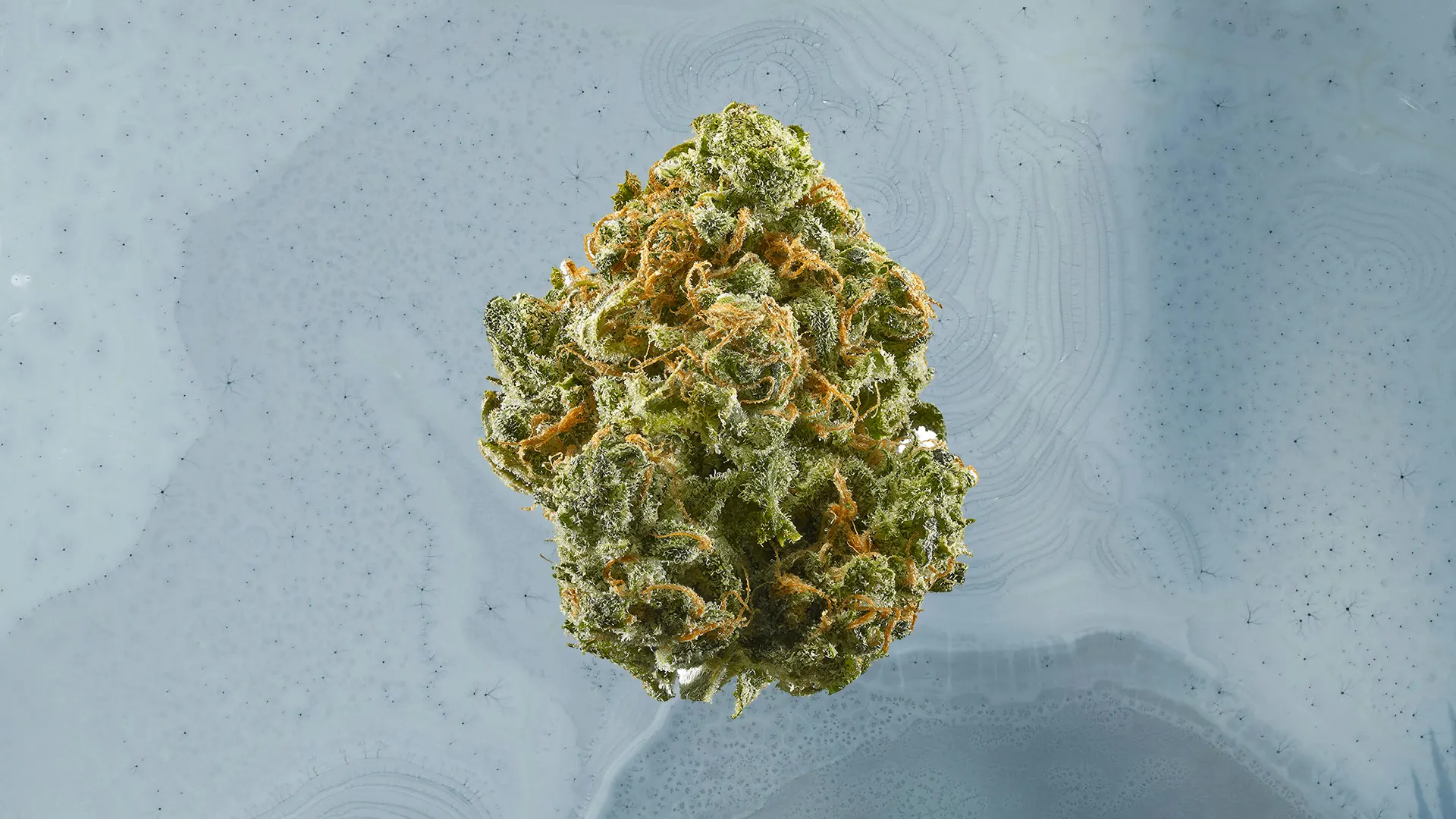 Blue Dream