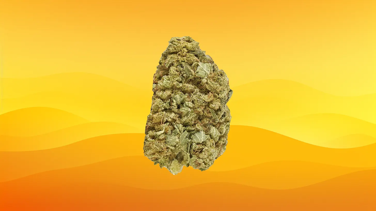 Mazar Kush