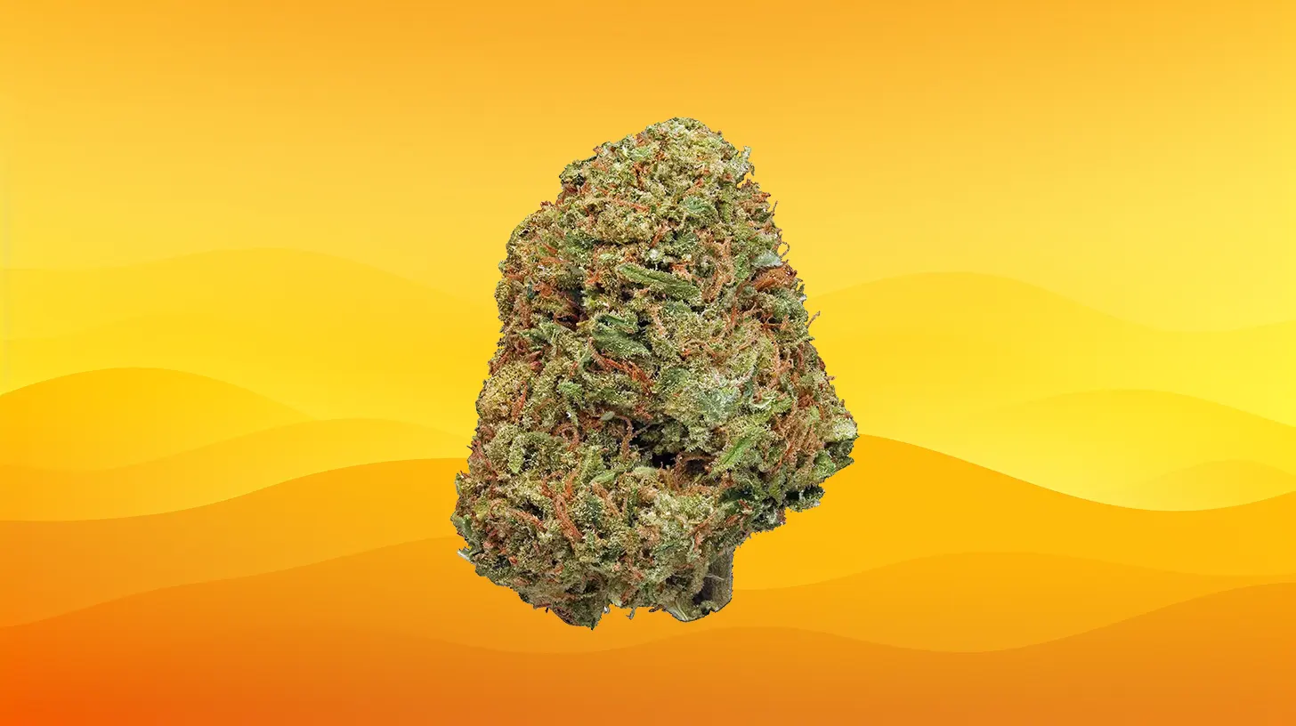 Northern Lights