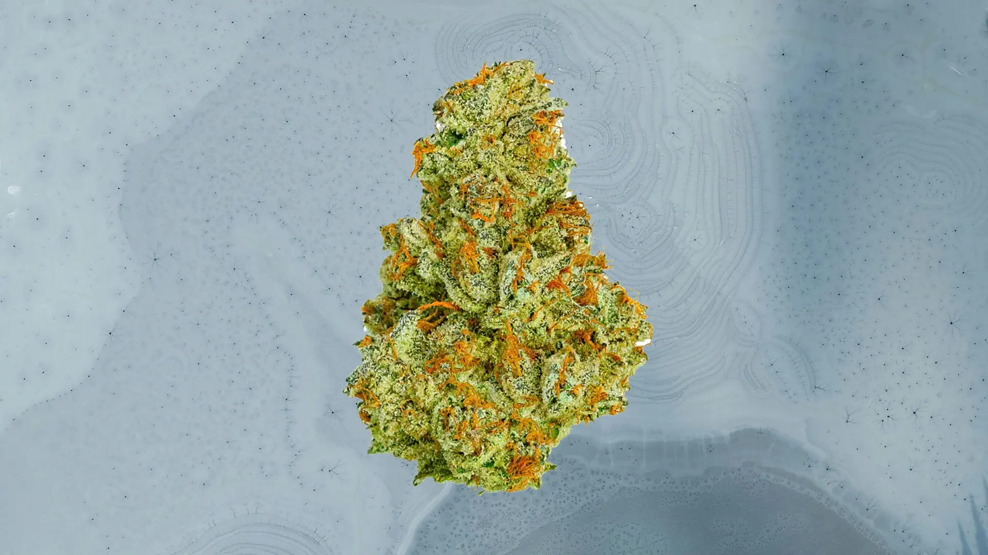 Sour Diesel