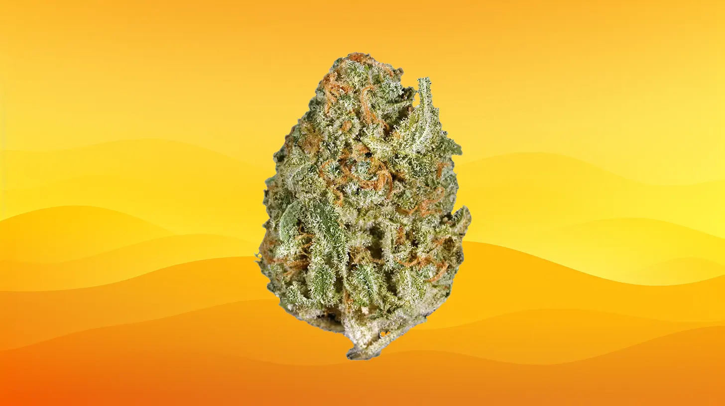 White Rhino
